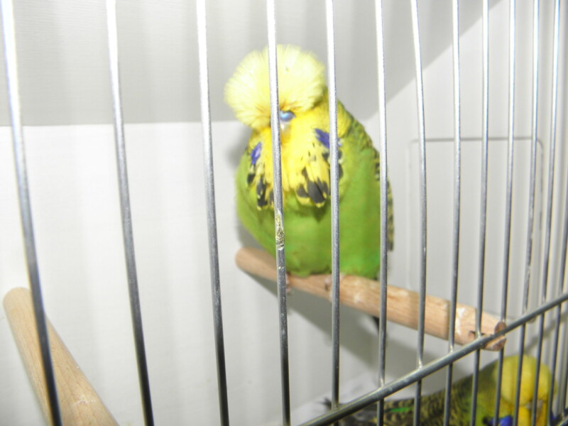 P1010108