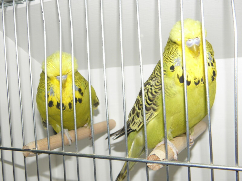 P1010051