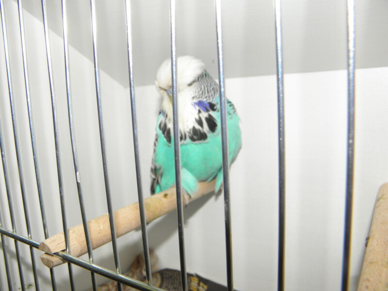 P1010157