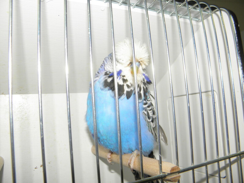 P1010160