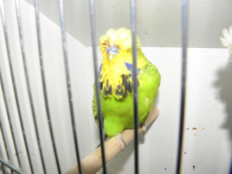 P1010103