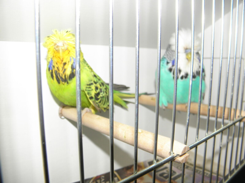 P1010137