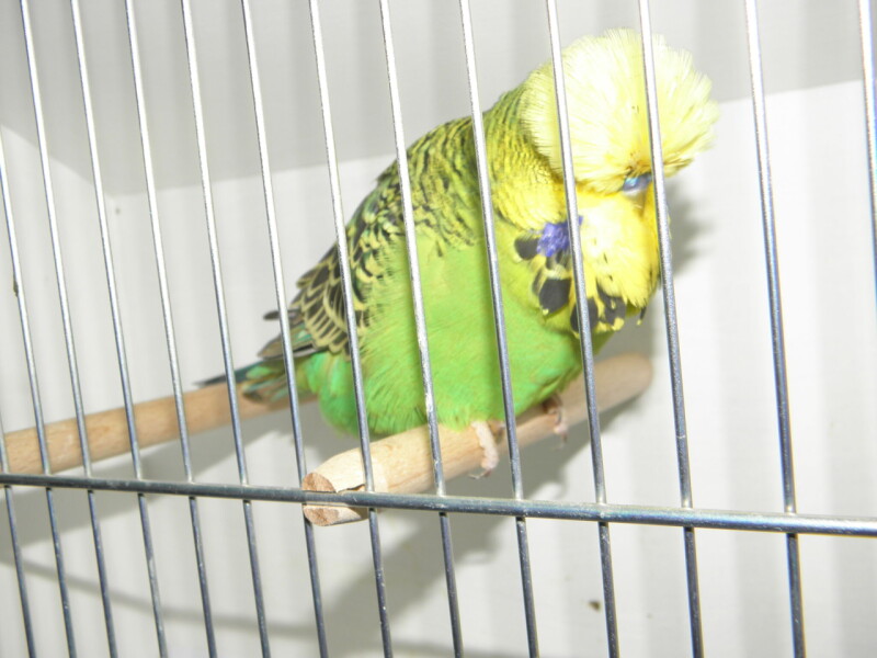 P1010088
