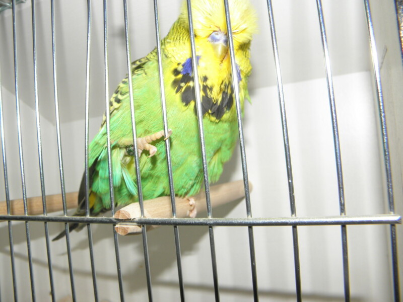 P1010166