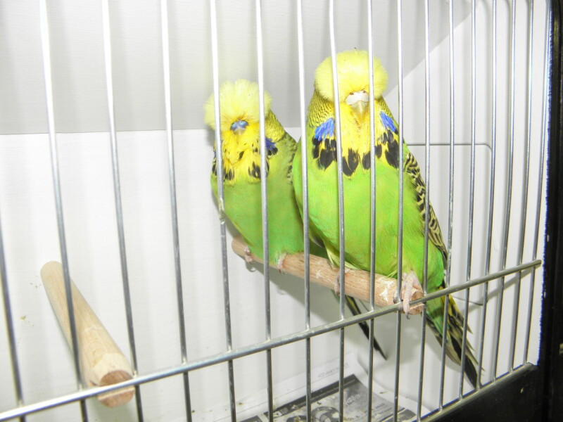 P1010094