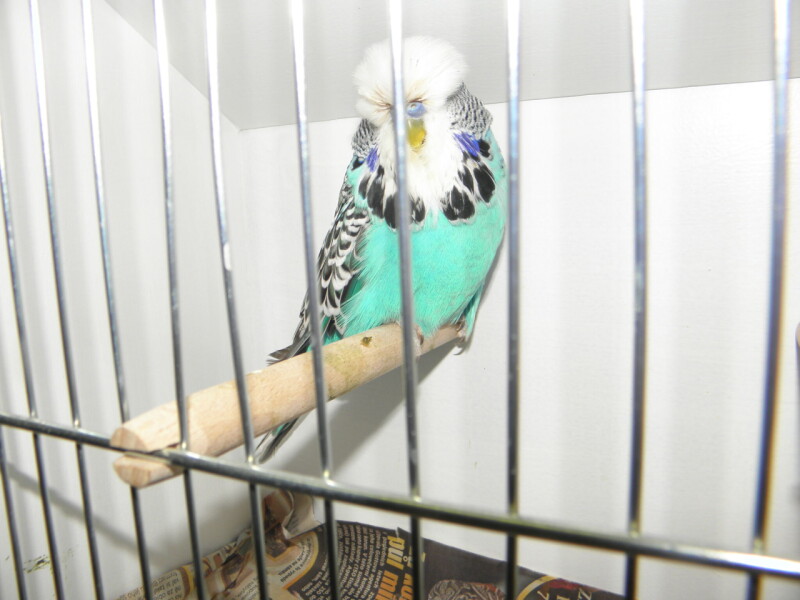 P1010164