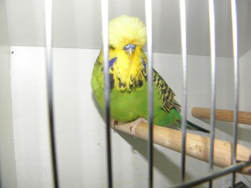 P1010172