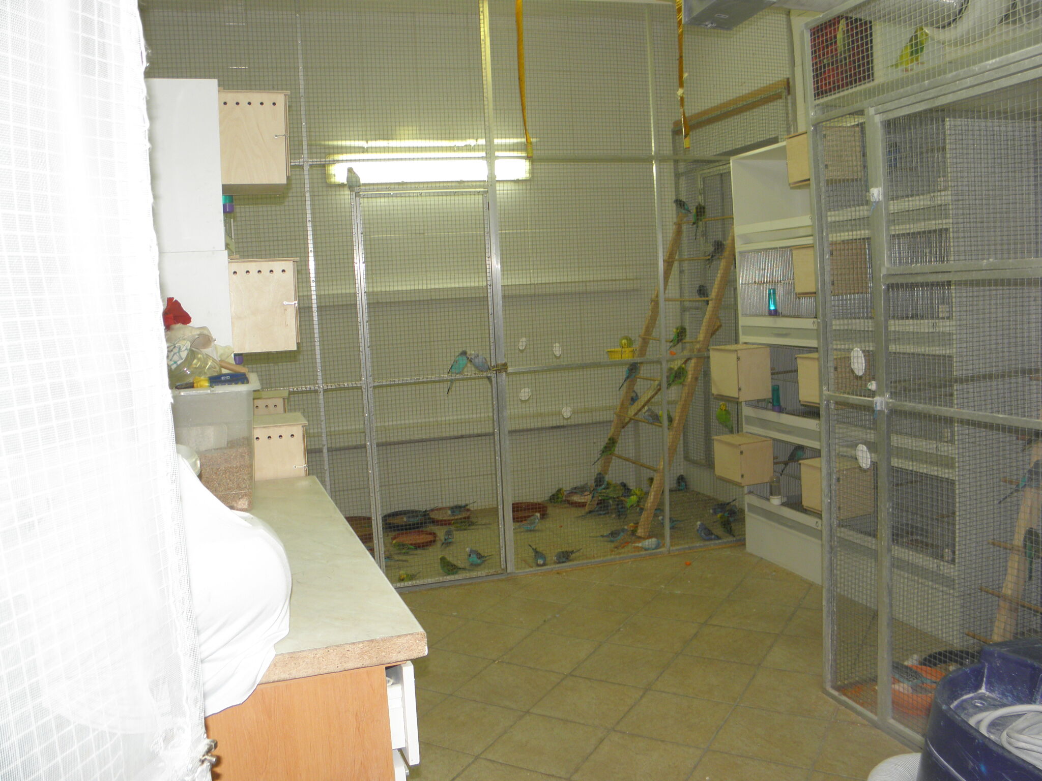 P1010184.jpg
