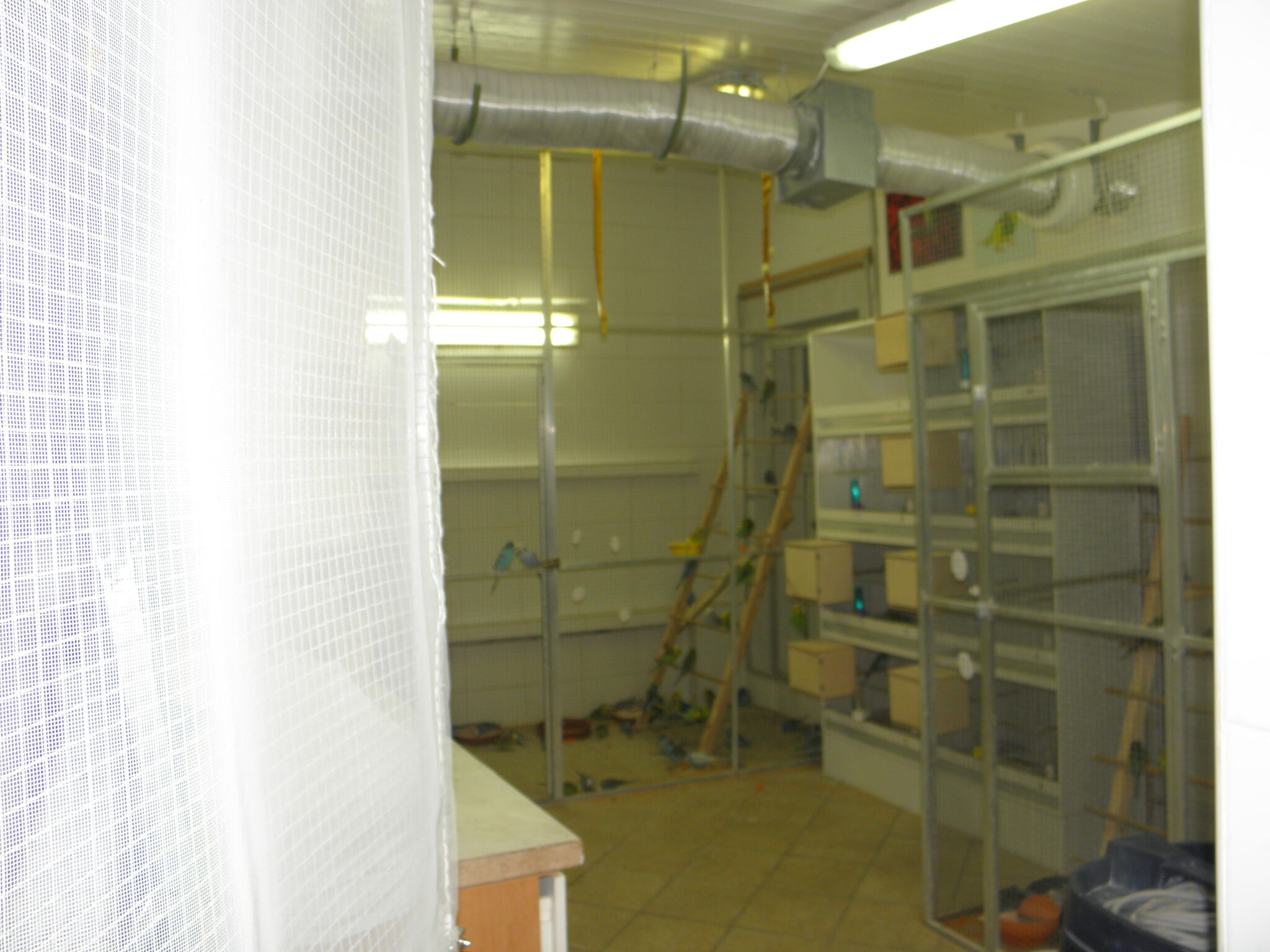 P1010186.jpg