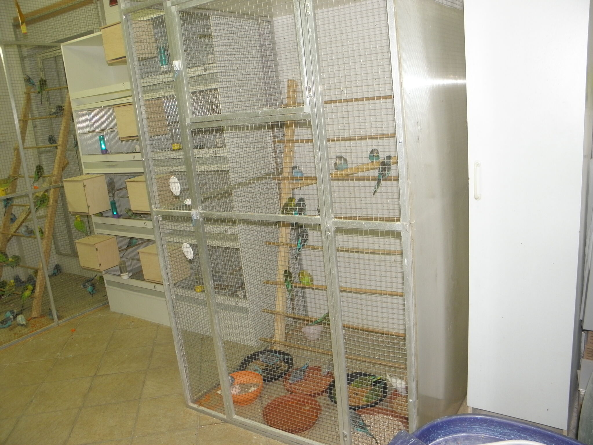 P1010188.jpg