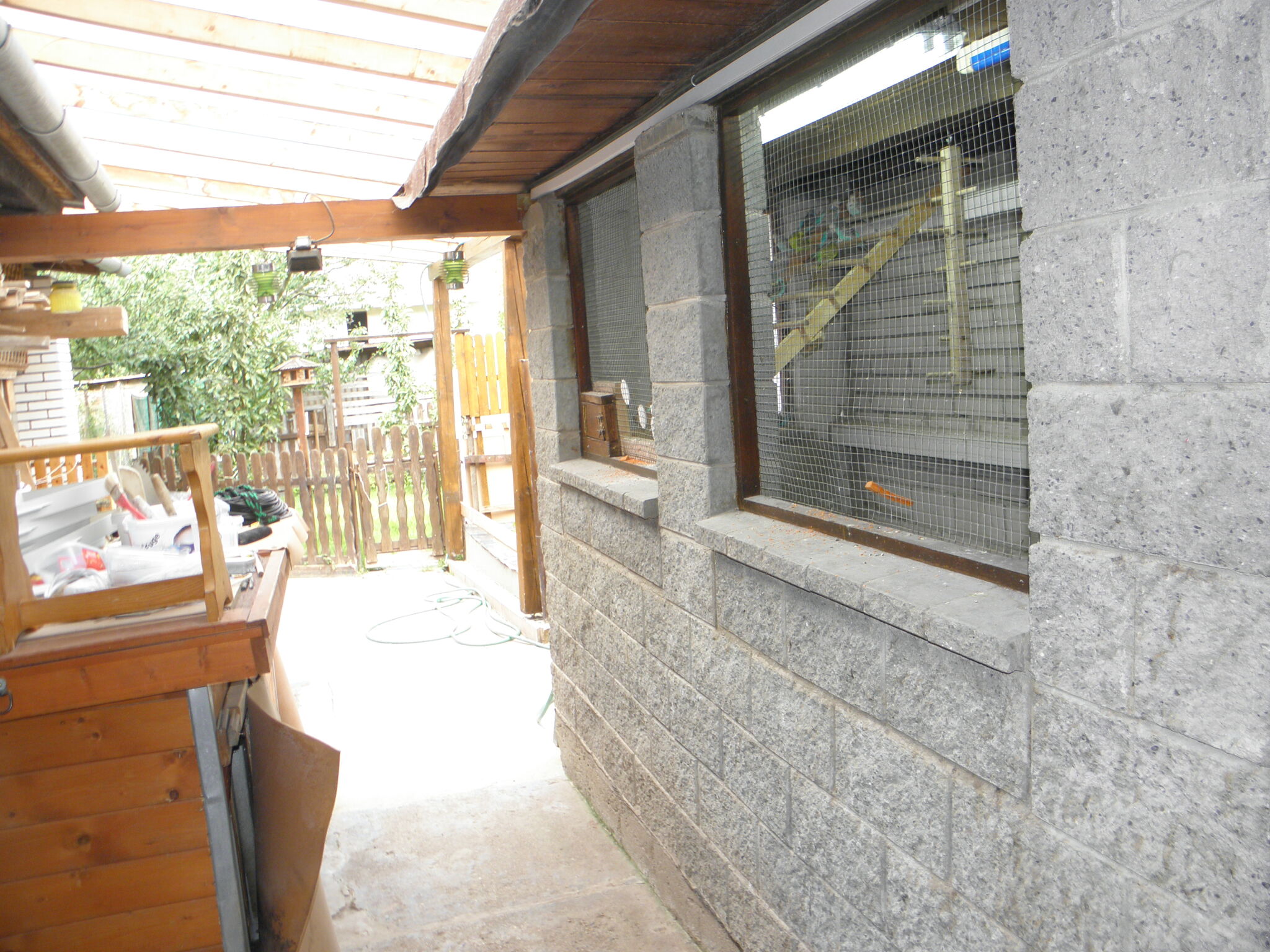 P1010200.jpg